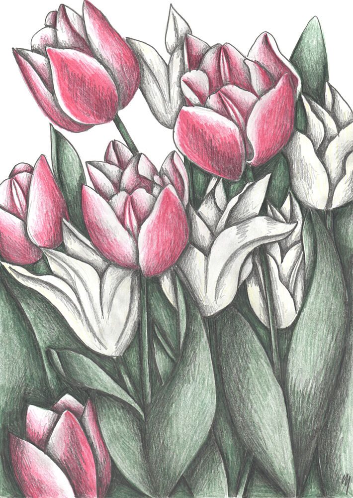 Vibrant Tulip Garden art print by Cecilia Battaini for $57.95 CAD