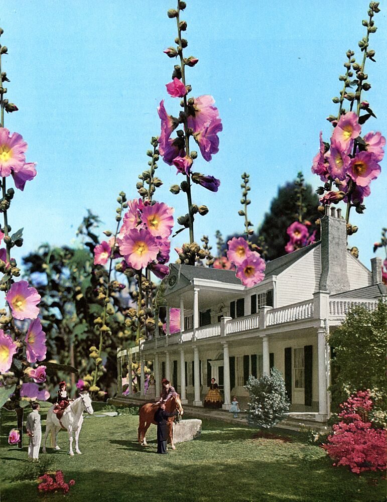 Grand Hollyhock Garden art print by Betty Klaasse for $57.95 CAD