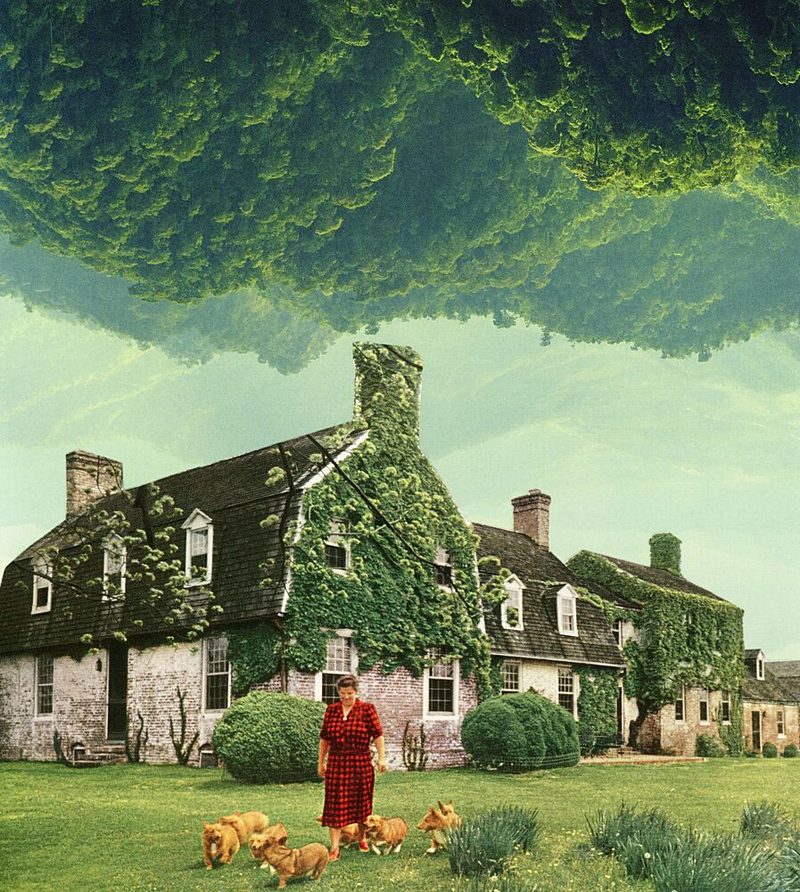 Upside Down Forest Home art print by Betty Klaasse for $57.95 CAD