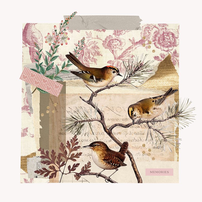 Rustic Bird Collage art print by Marja van den Hurk for $57.95 CAD