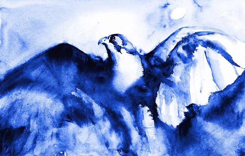 Soaring Blue Falcon art print by RodMacIver for $57.95 CAD