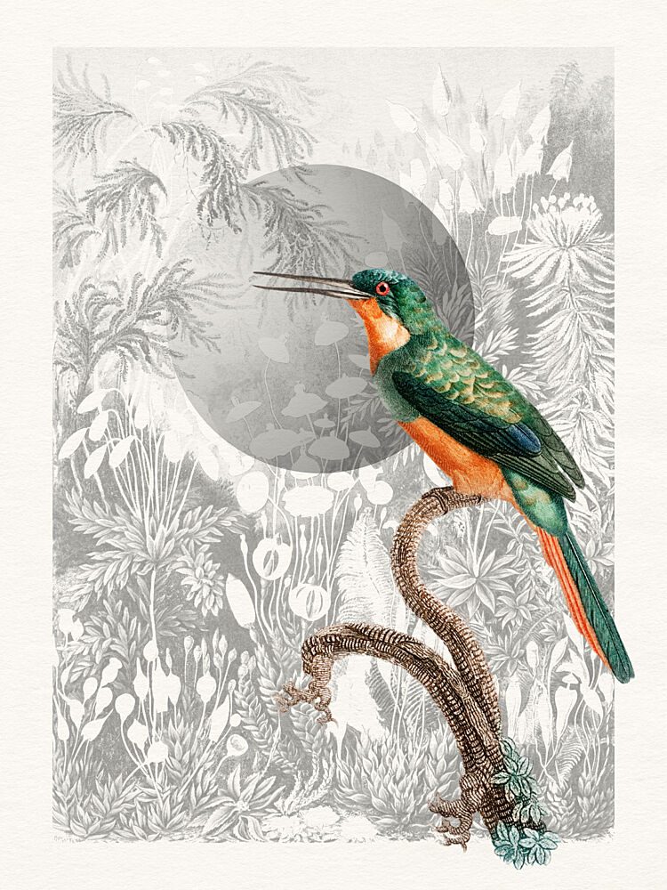 Tropical Green Jacamar art print by Wild Violets for $57.95 CAD