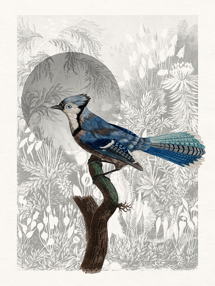 Blue Jay Forest Moon art print by Wild Violets for $57.95 CAD