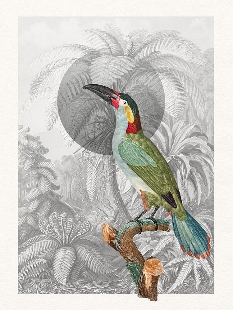 Colorful Tropical Bird art print by Wild Violets for $57.95 CAD