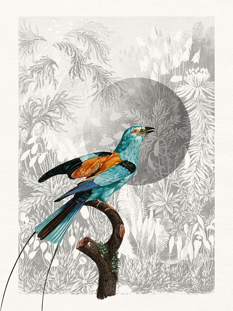 Moonlit Jungle Bird art print by Wild Violets for $57.95 CAD
