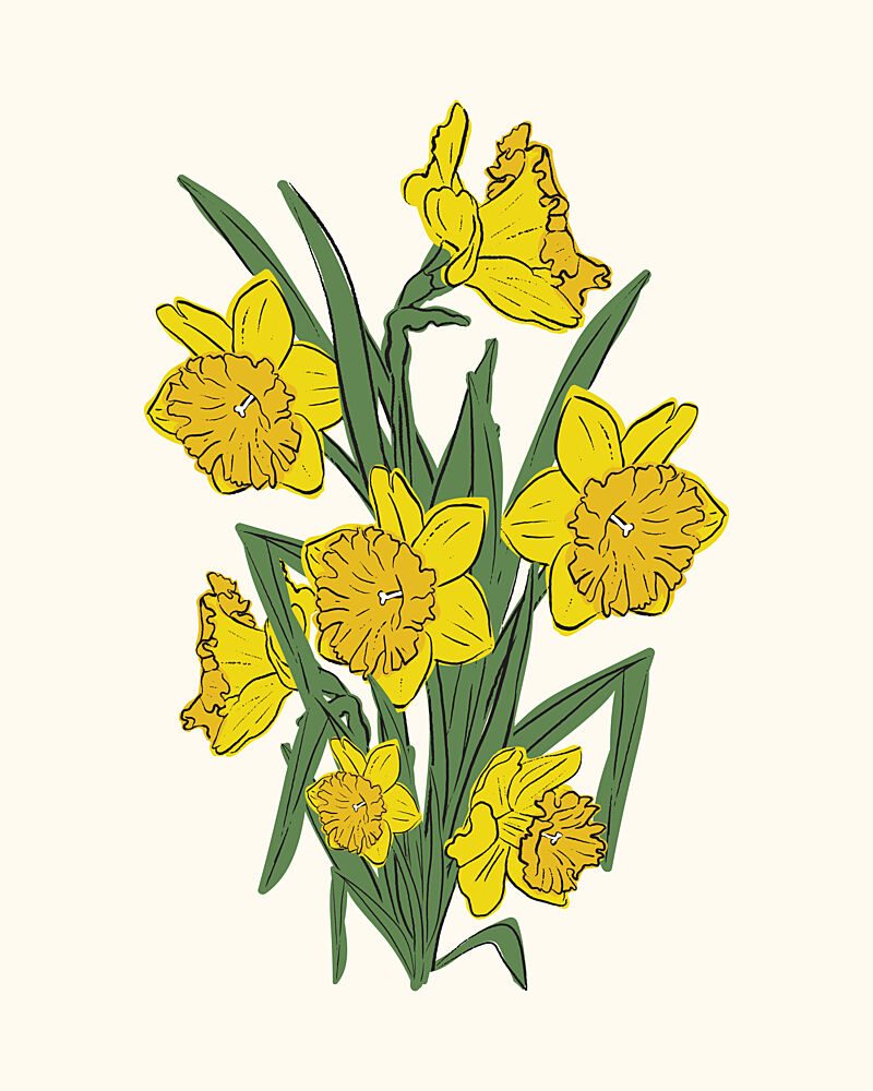 Bright Yellow Daffodils art print by Sonia Pal for $57.95 CAD