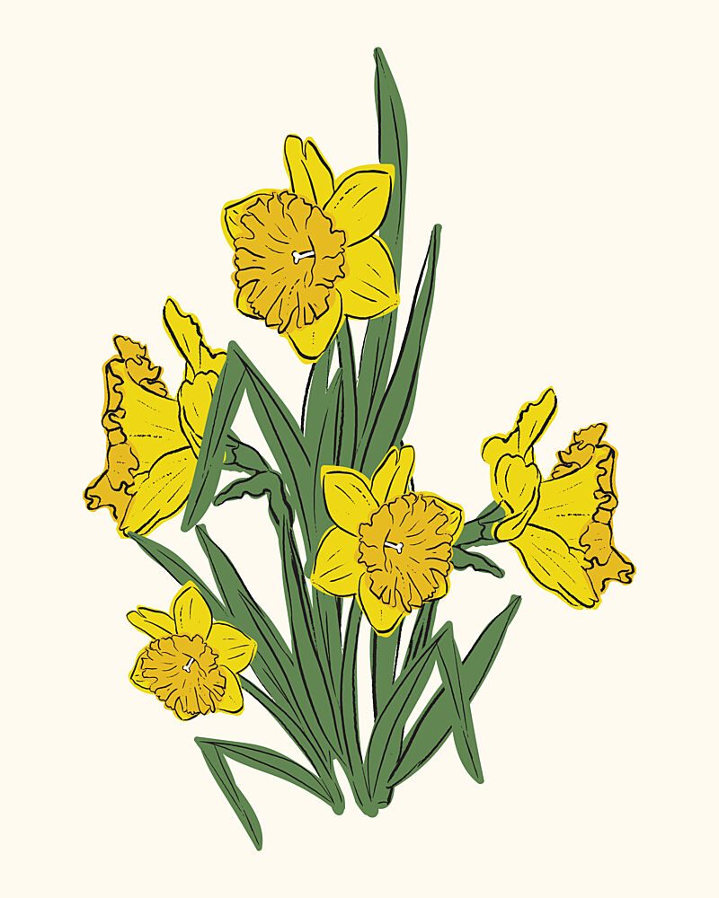 Vibrant Yellow Daffodils art print by Sonia Pal for $57.95 CAD