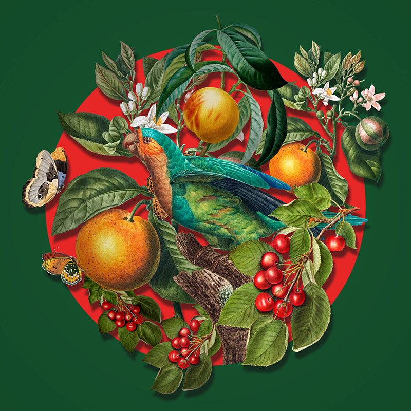 Vibrant Tropical Bird Fruits art print by Marja van den Hurk for $57.95 CAD