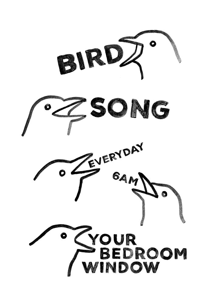 Bird Song 6 Am art print by Martina Scott for $57.95 CAD
