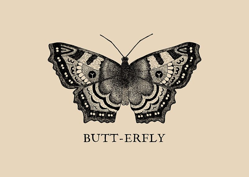 Witty Butt-erfly Drawing art print by Martina Scott for $57.95 CAD
