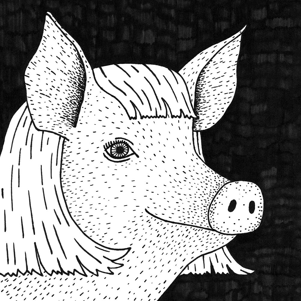 Charming Pig Character art print by Martina Scott for $57.95 CAD