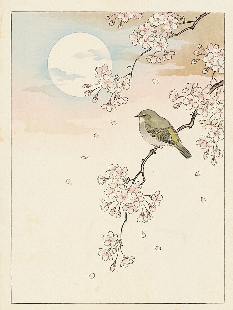 Spring Moon Bird Blossoms art print by Andreas Magnusson for $57.95 CAD