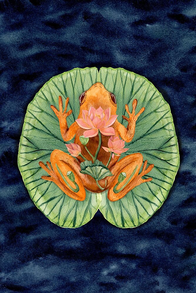 Orange Frog on Lily Pad art print by Suchi Deb for $57.95 CAD