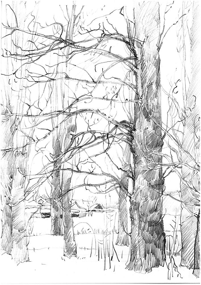 Winter Trees Sketch art print by Andrii Kutsachenko for $57.95 CAD