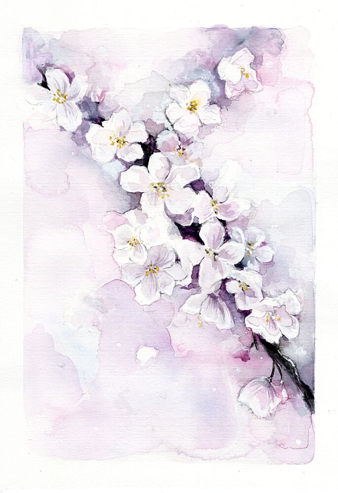 Delicate Blossom Branch art print by Helena Engstrom for $57.95 CAD