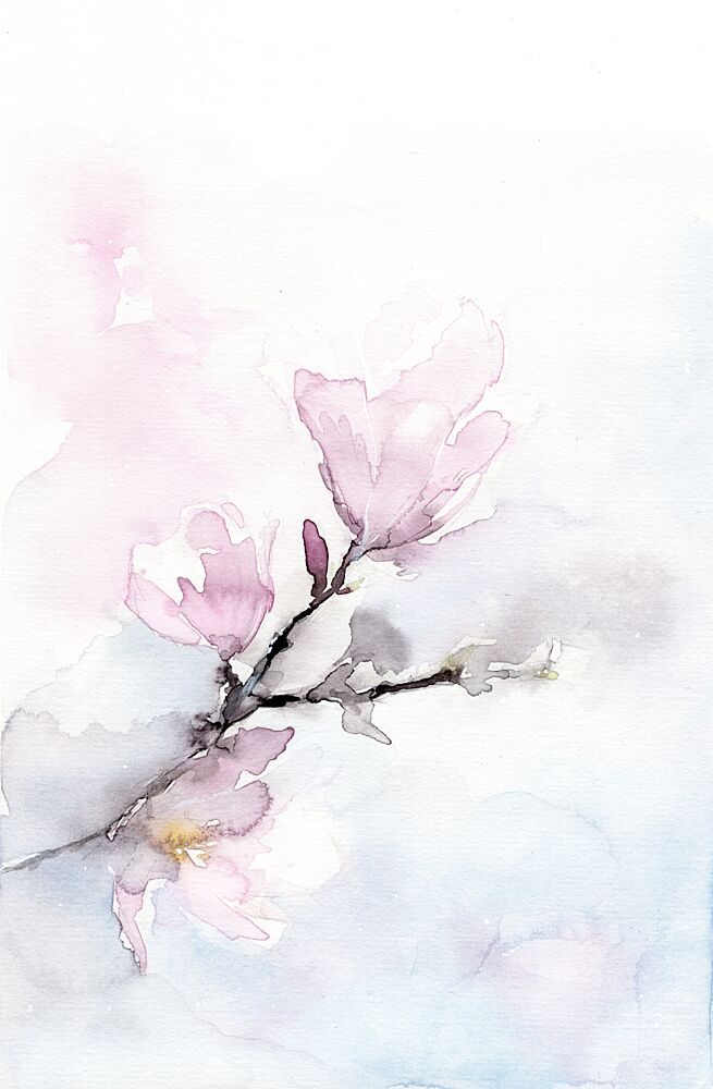Soft Magnolia Blooms art print by Helena Engstrom for $57.95 CAD