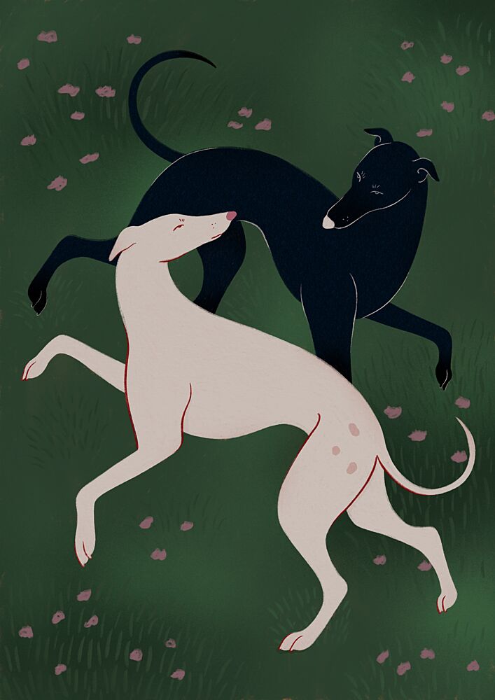 Elegant Greyhound Pair art print by Ida Alvarsson for $57.95 CAD