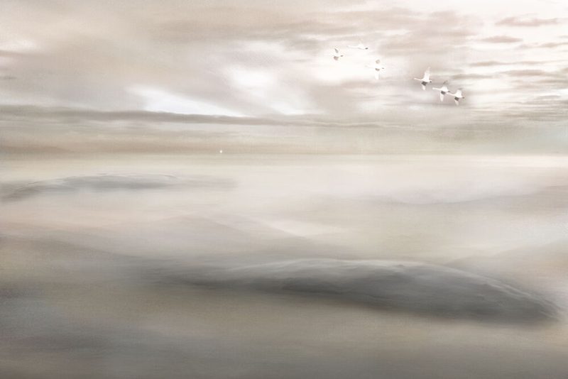 Swan Song to the Mist art print by Christina Sillen for $57.95 CAD