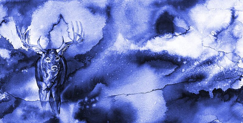 Mystical Blue Deer art print by RodMacIver for $57.95 CAD
