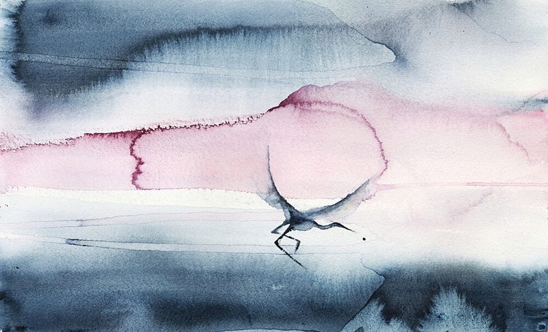 Pink Sky Bird Flight art print by RodMacIver for $57.95 CAD