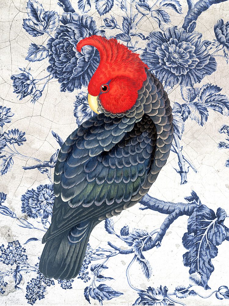 Red Cockatoo Chinoiserie art print by Marja van den Hurk for $57.95 CAD