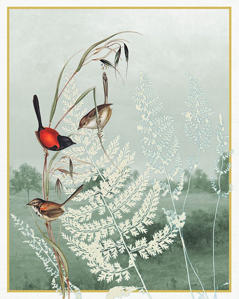 Birds Among Ferns art print by Wild Violets for $57.95 CAD