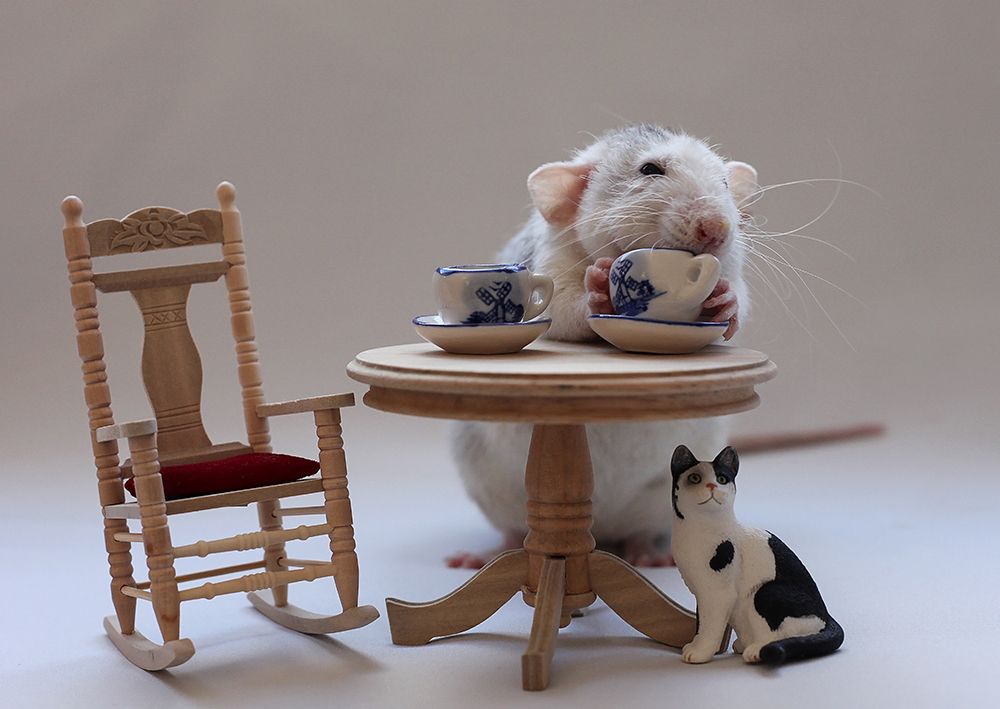 Tea-time art print by Ellen van Deelen for $57.95 CAD