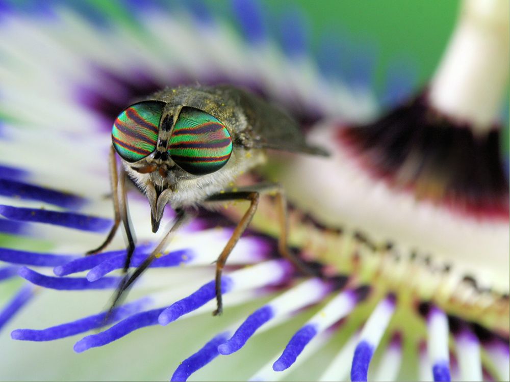 Eye-Catching art print by Jimmy Hoffman for $57.95 CAD