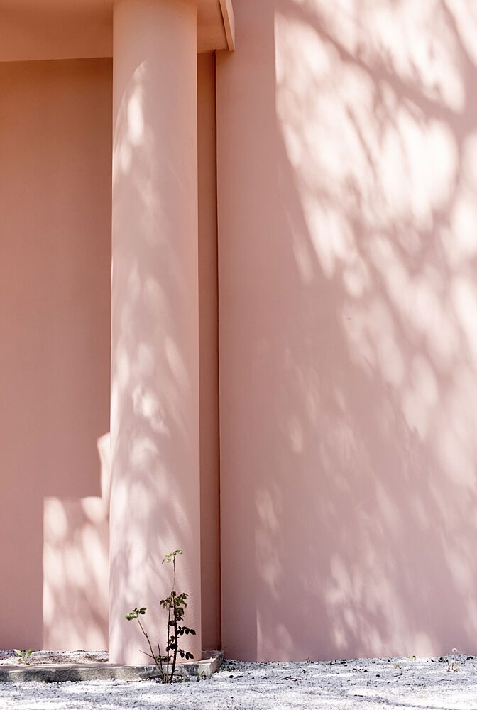 Pink Wall and Tree Shadows art print by Mareike Bohmer for $57.95 CAD