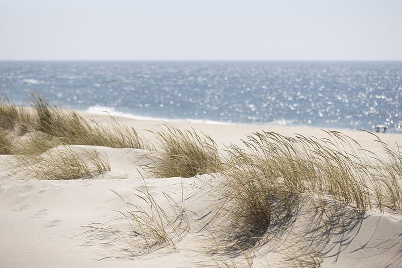 Serene Beach Dunes art print by Mareike Bohmer for $57.95 CAD