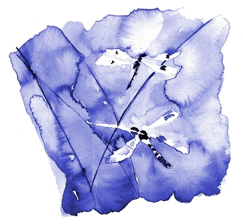 Watercolor Blue Dragonflies art print by RodMacIver for $57.95 CAD