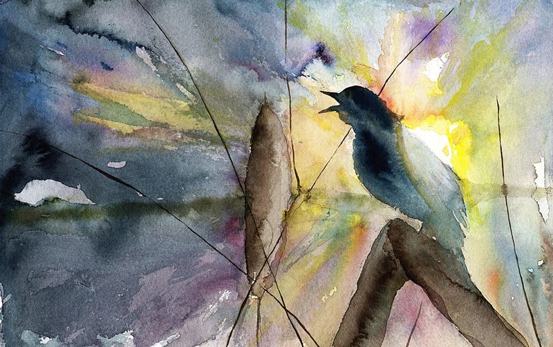 Singing Bird Sunrise art print by RodMacIver for $57.95 CAD