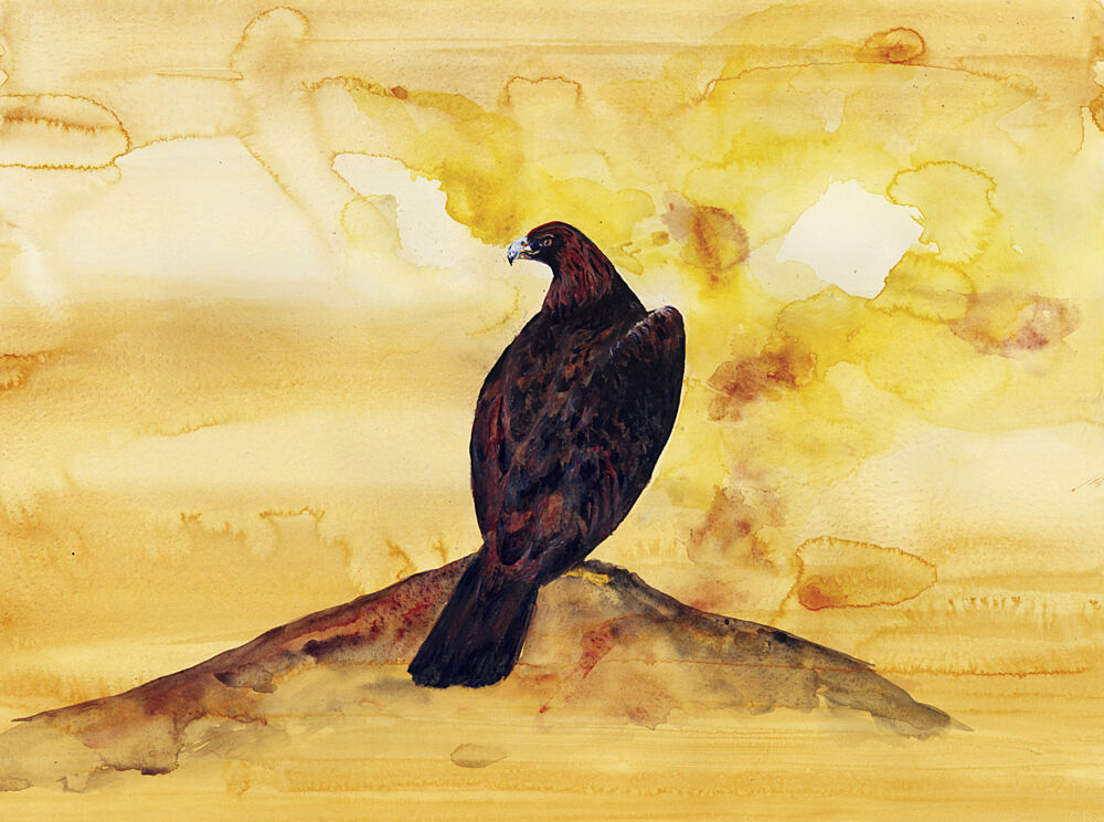 Majestic Golden Eagle art print by RodMacIver for $57.95 CAD
