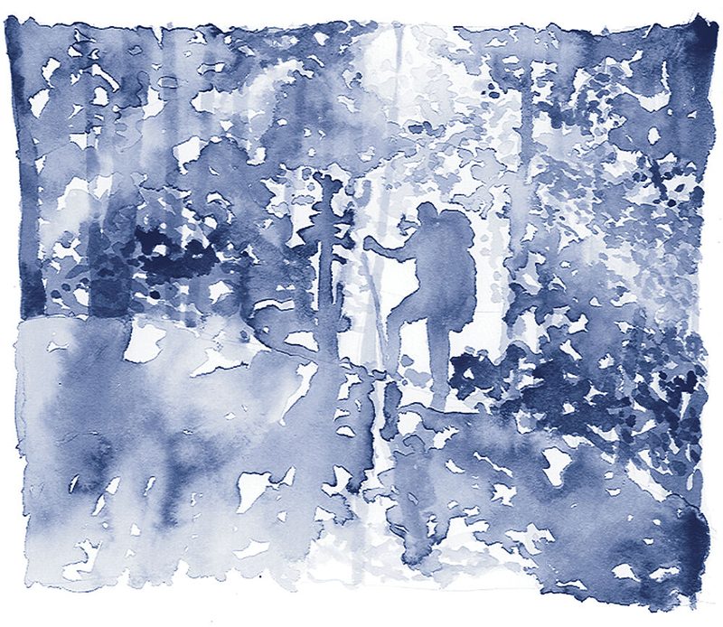 Blue Forest Wanderer art print by RodMacIver for $57.95 CAD
