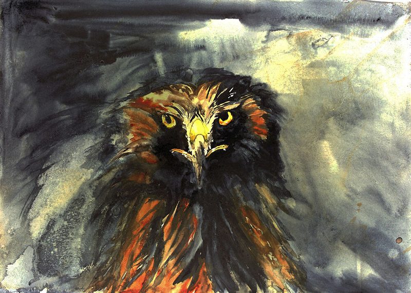 Fierce Eagle Stare art print by RodMacIver for $57.95 CAD