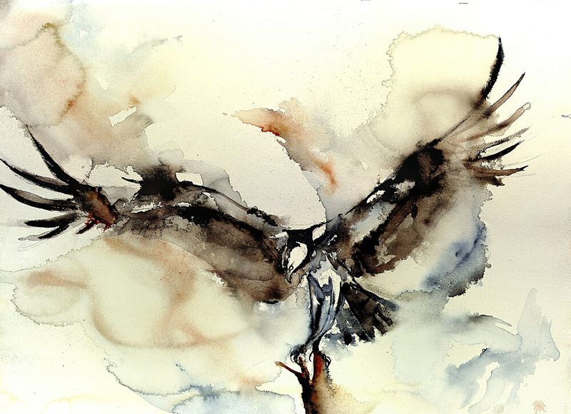 Dynamic Osprey Flight art print by RodMacIver for $57.95 CAD