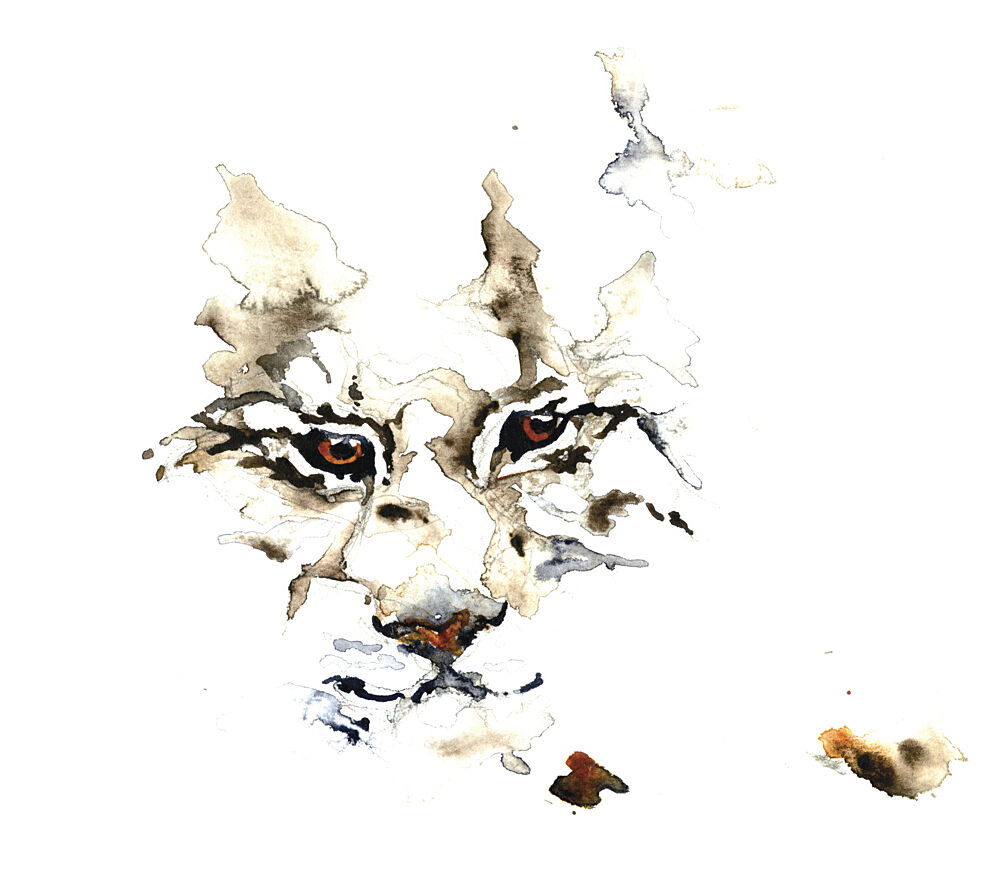 Wild Lynx Watercolor art print by RodMacIver for $57.95 CAD
