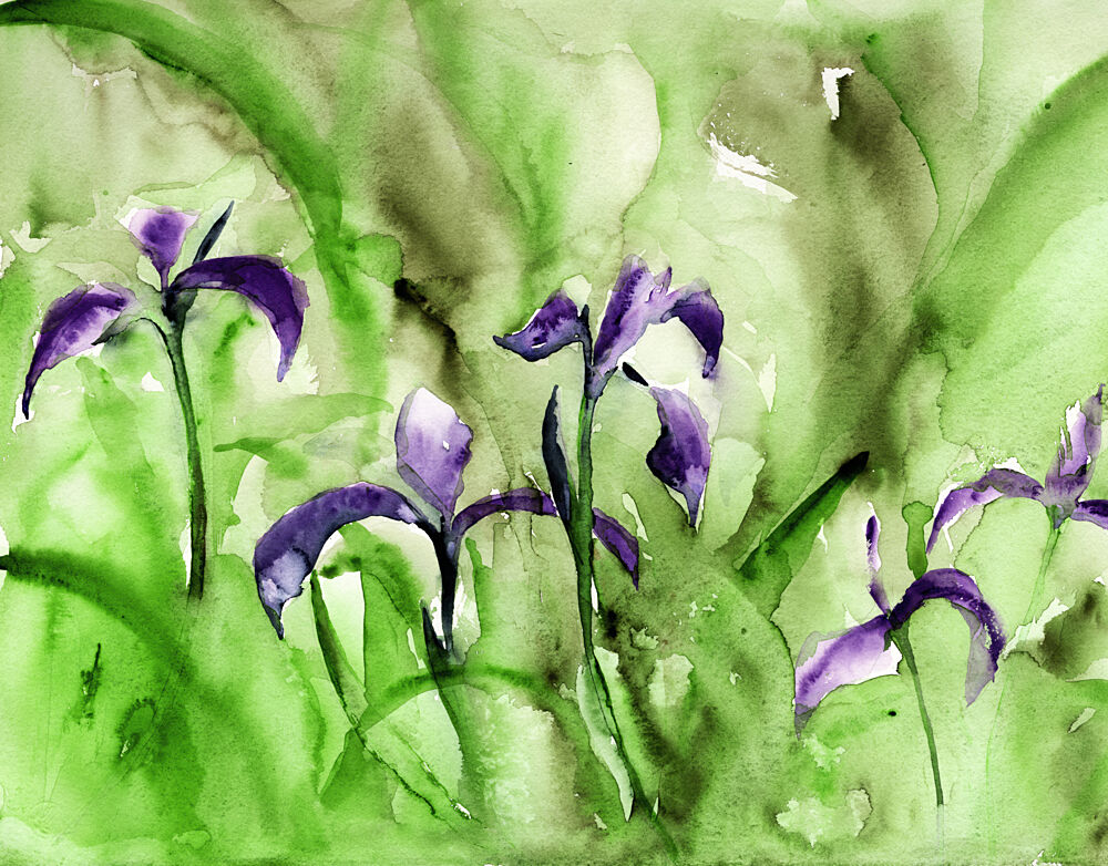Vibrant Iris Garden art print by RodMacIver for $57.95 CAD