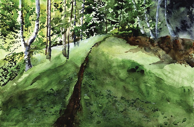 Lush Forest Path art print by RodMacIver for $57.95 CAD