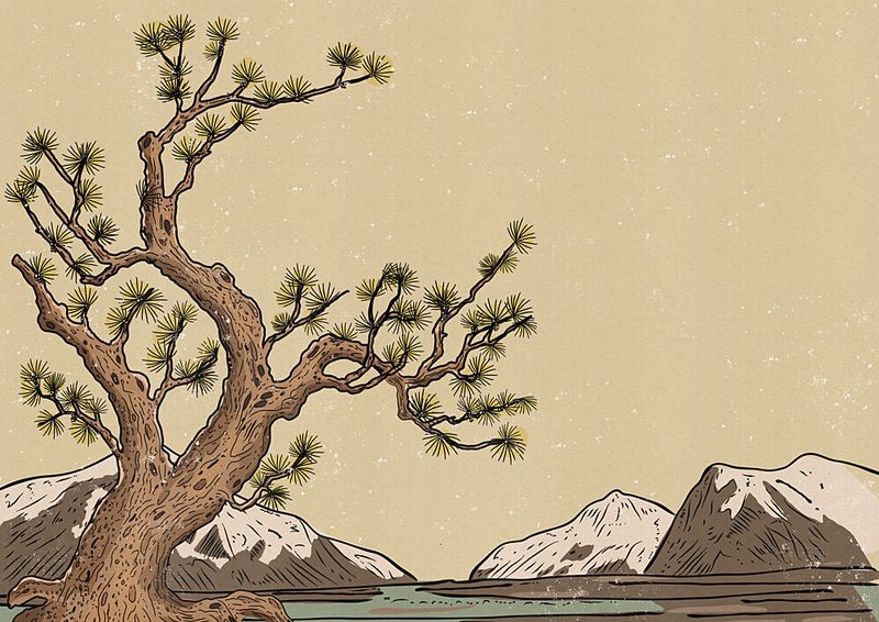 Ancient Pine Landscape art print by Nicholas for $57.95 CAD