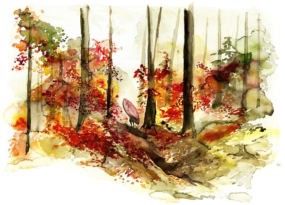 Autumn Forest Surf Journey art print by RodMacIver for $57.95 CAD