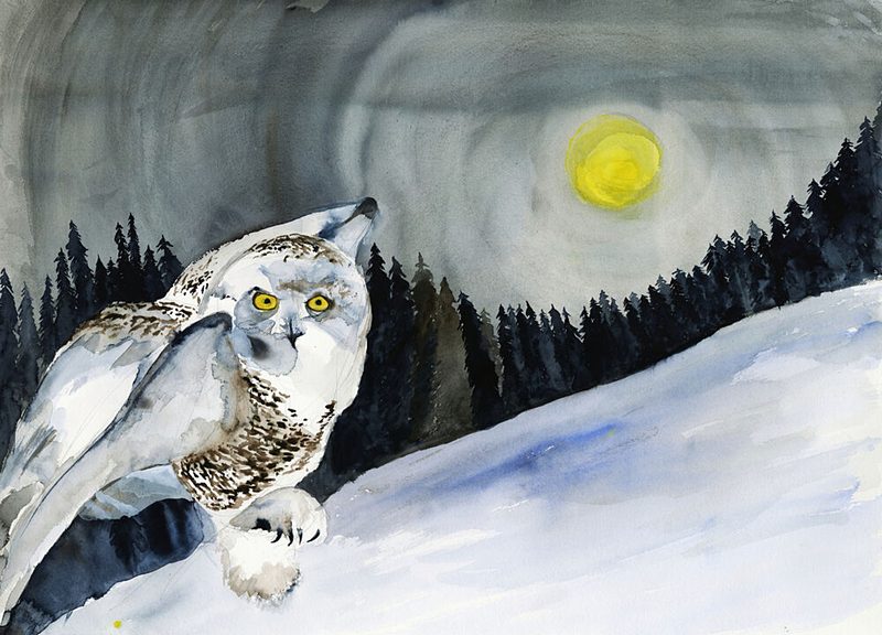 Snowy Owl Winter Moon art print by RodMacIver for $57.95 CAD