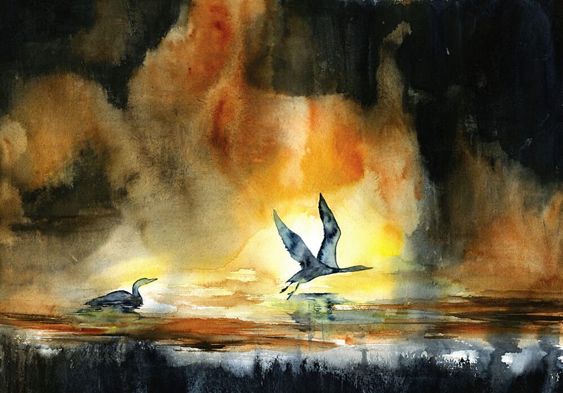 Sunset Water Birds art print by RodMacIver for $57.95 CAD