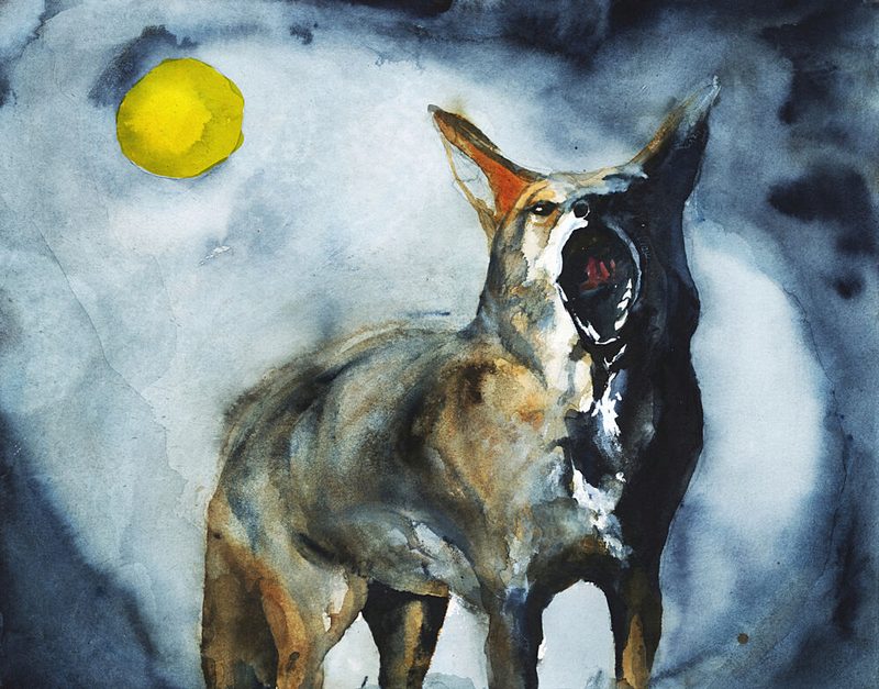 Howling Coyote Moon art print by RodMacIver for $57.95 CAD