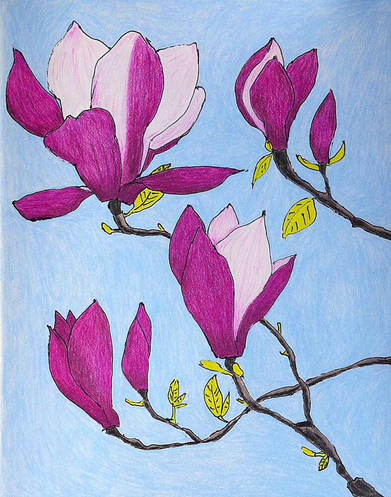 Purple Magnolia Blossoms art print by Viktoriia Saunina for $57.95 CAD