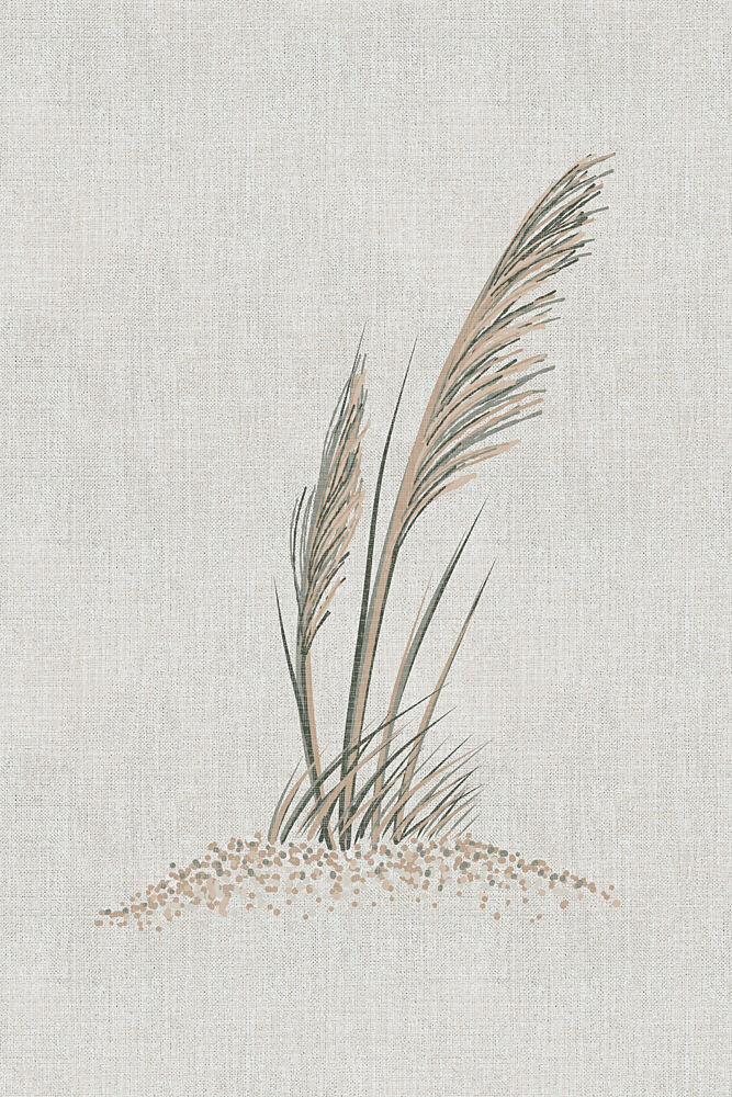 Coastal Dune Grass art print by Alexandra Weise for $57.95 CAD