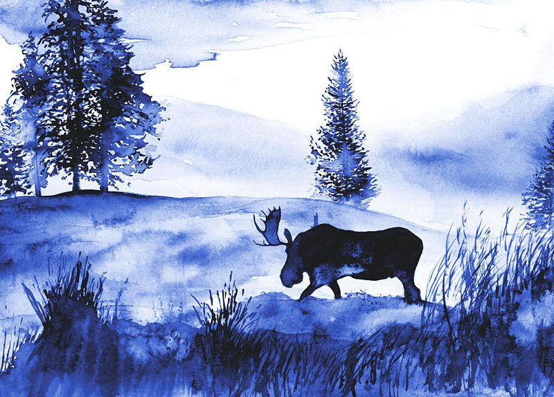 A Winter Moose Landscape art print by RodMacIver for $57.95 CAD