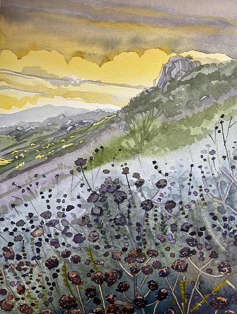 Mountain Sunset Wildflowers art print by Luisa Millicent for $57.95 CAD