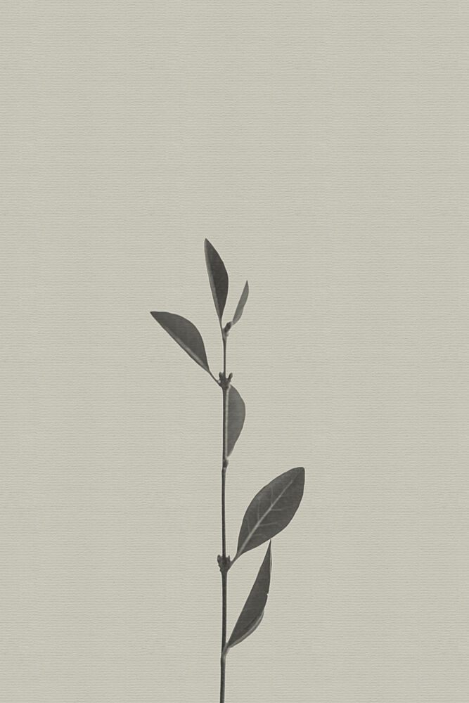 Delicate Botanical Stem art print by Stephanie Klatt for $57.95 CAD