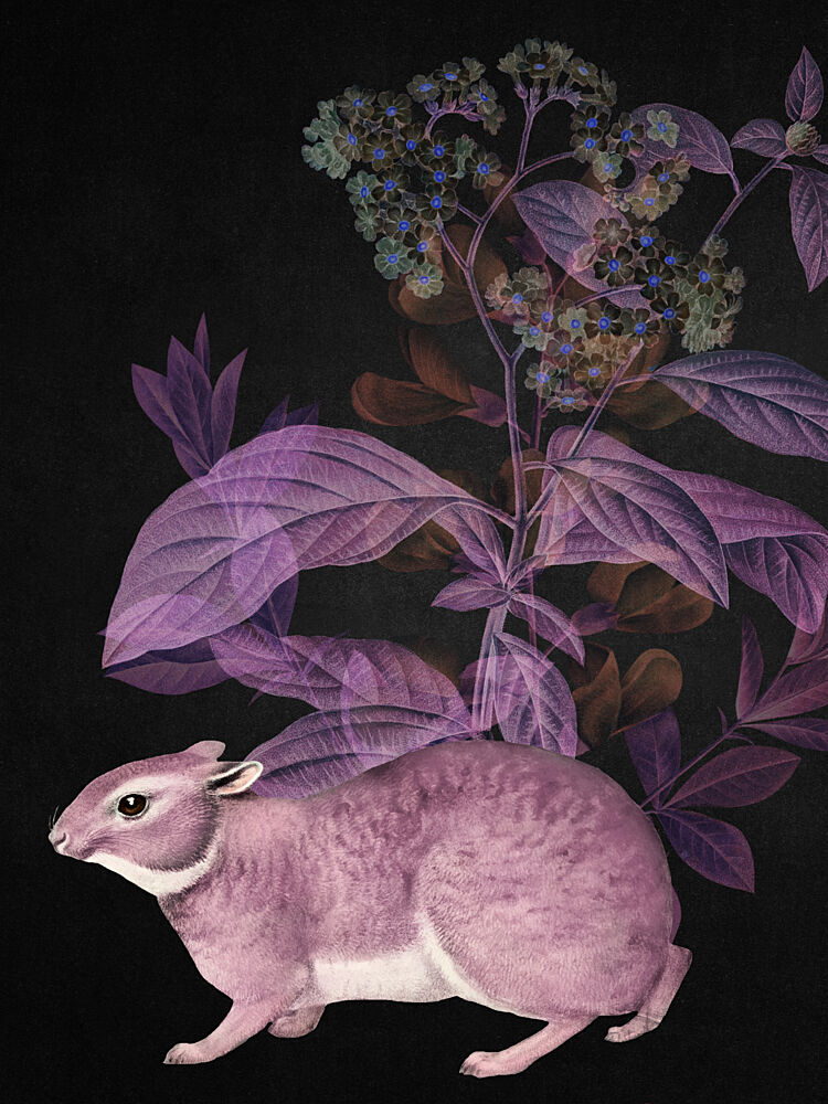 Mysterious Purple Rabbit art print by Marja van den Hurk for $57.95 CAD